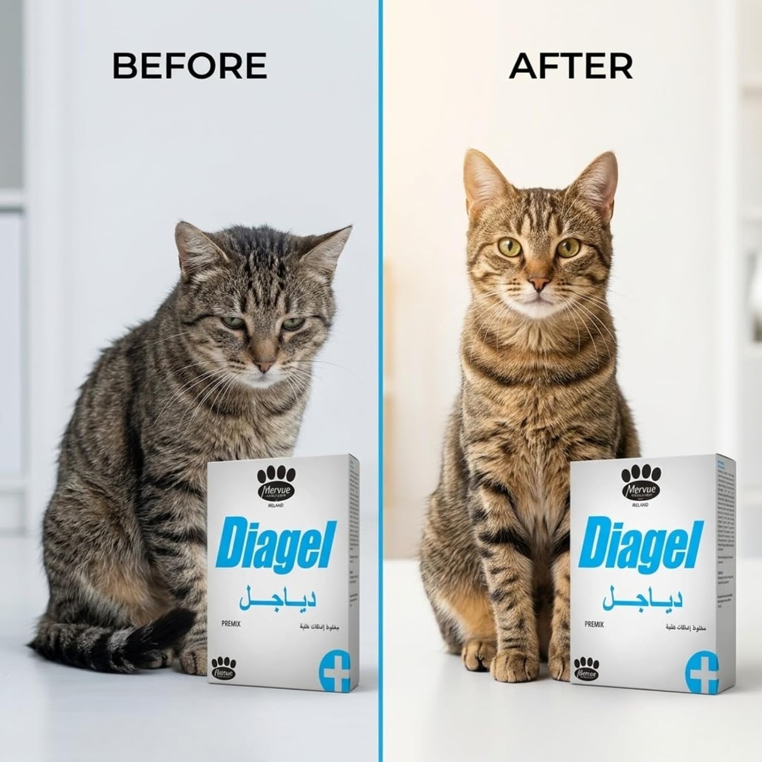 Mervue Diagel Probiotic Gel Sachets for Cats & Dogs, 5-Pack Digestive Aid 5 Mervue Diagel