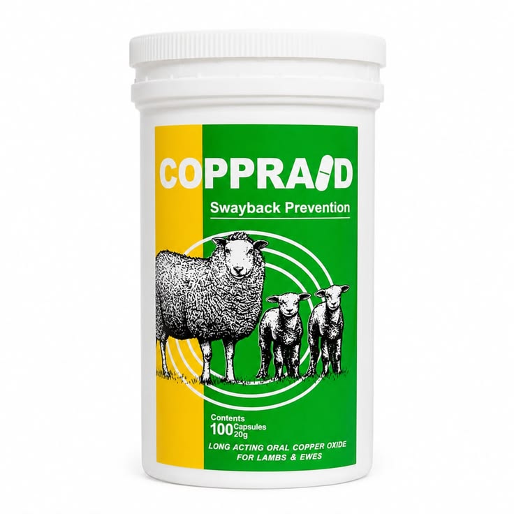 Coppraid 100 Capsules
