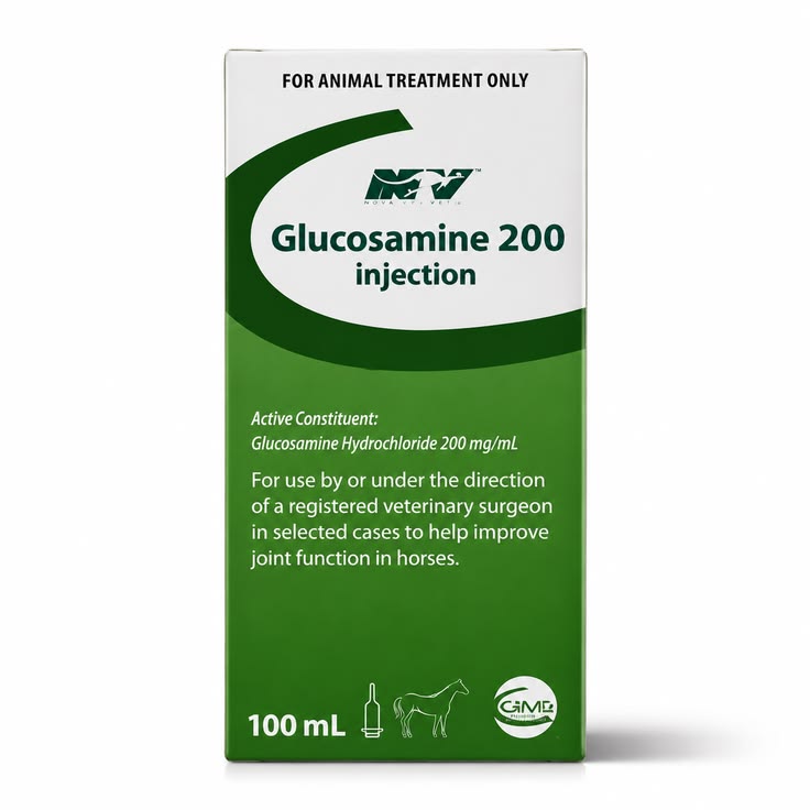 Glucosamine 200 Injection 100mL